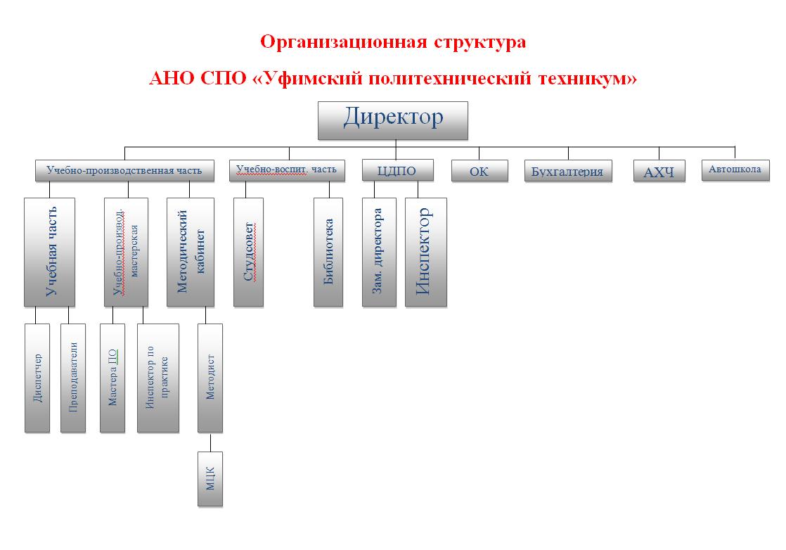 Организационная структура АНО СПО УПТ